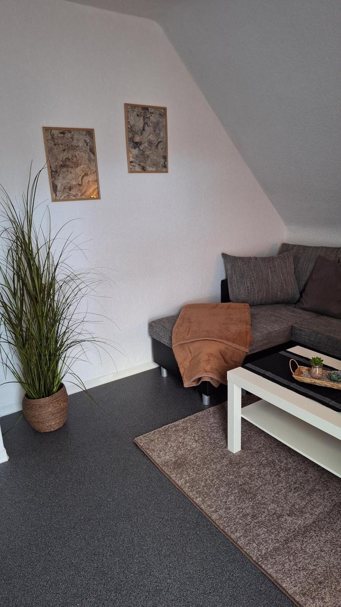 شقة Haus Westharz Goslar باد غروند المظهر الخارجي الصورة