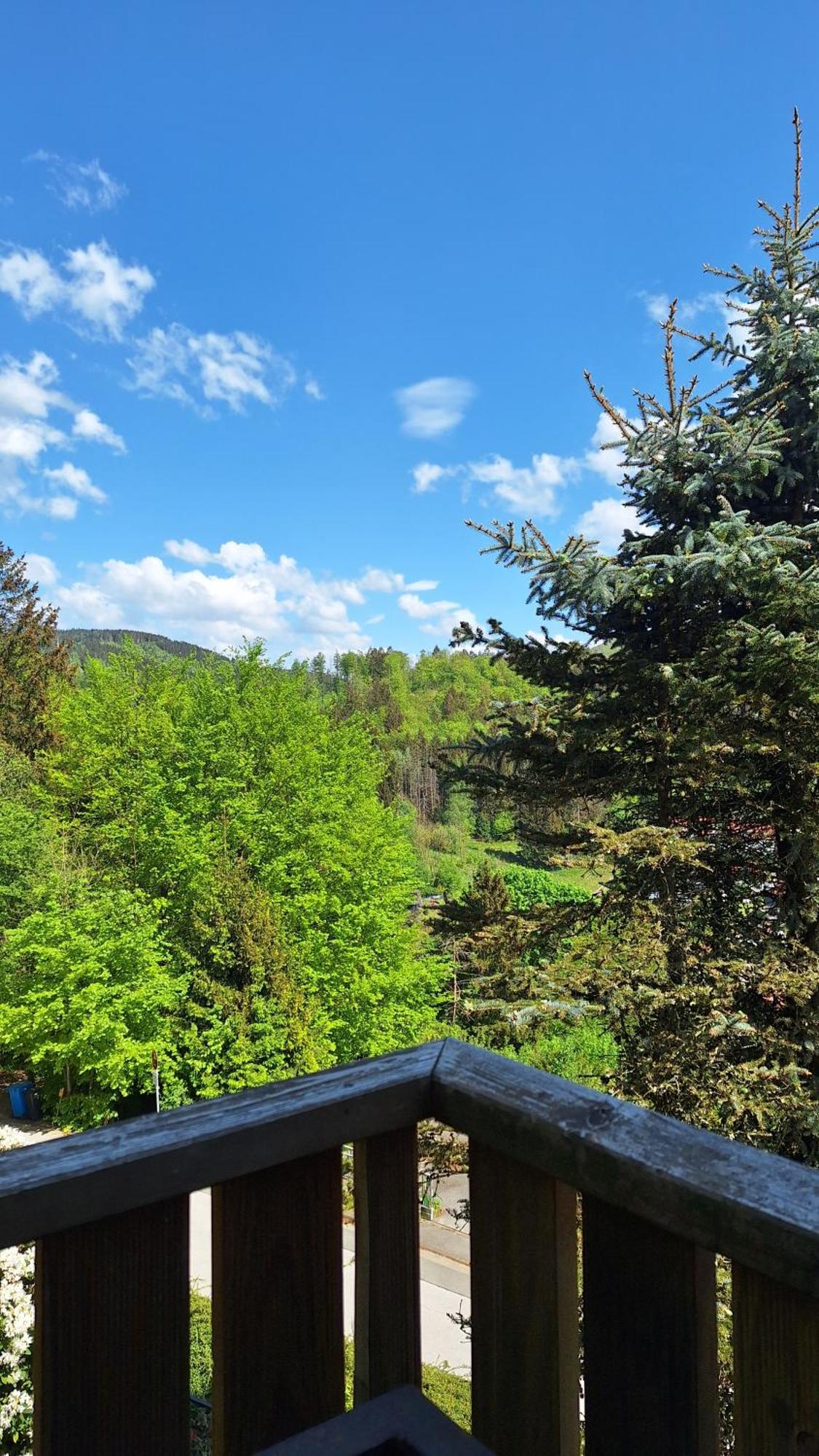 شقة Haus Westharz Goslar باد غروند المظهر الخارجي الصورة
