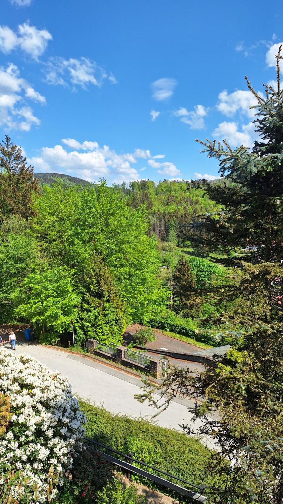 شقة Haus Westharz Goslar باد غروند المظهر الخارجي الصورة