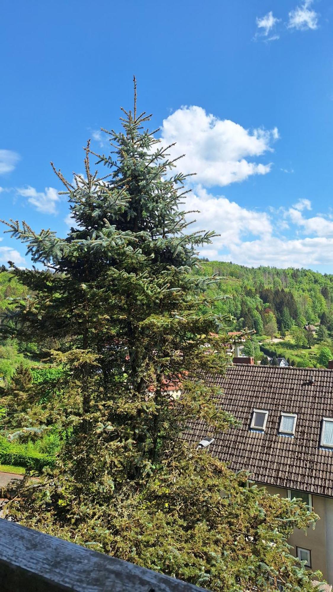 شقة Haus Westharz Goslar باد غروند المظهر الخارجي الصورة